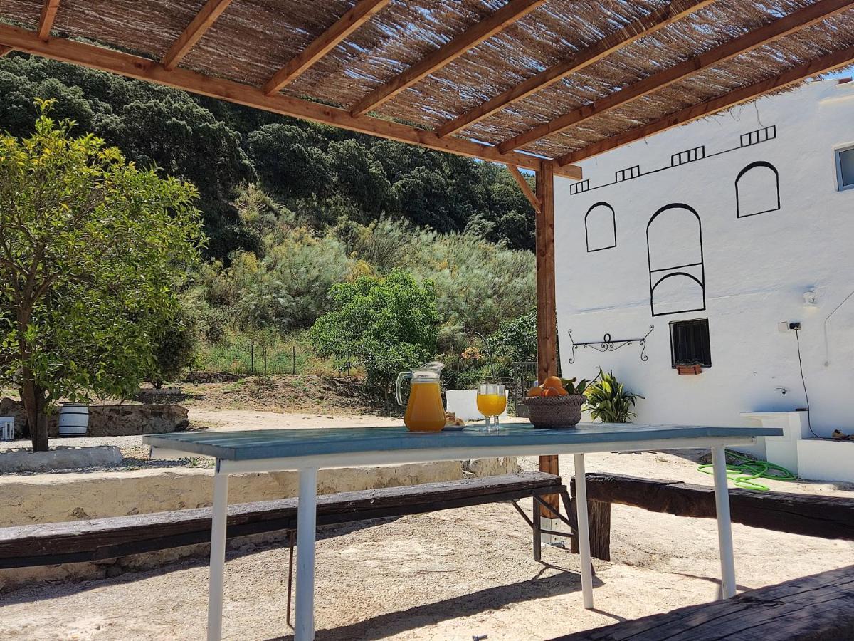 Casa De Campo Con Maravillosas Vistas, Bbq Y Piscina Ronda Eksteriør billede